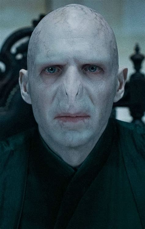 15 Voldemort Facts The Harry Potter Films Didn't Share.
